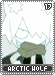 arcticwolf17